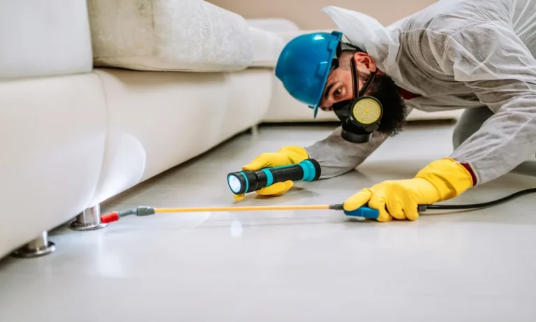 How a Local Exterminator in Altamonte Springs Extends Pest Protection in Florida’s Humidity