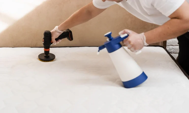 How to Tell If a Bed Bug Treatment Actually Worked